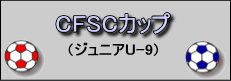 CFSCカップ　ジュニアU-9